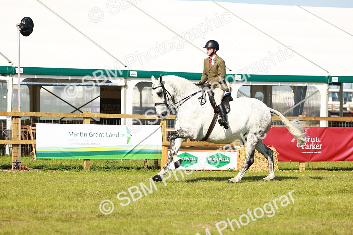 SBM_11824 - Class 66-69 - RIHS Ridden Hunters Inc Small Hunter