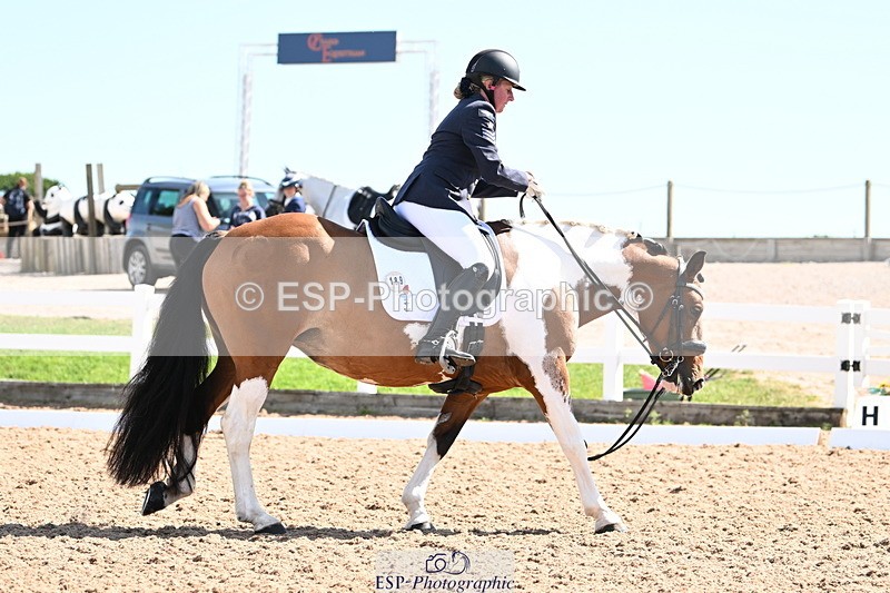 240816A-111140-04026 - 189-Mel.Day-Dolderwydd.lucky.Maisie