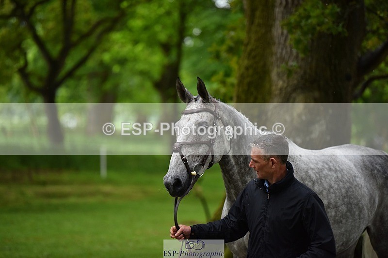 240522-152440-00318 - 354-COOLEY_STIRLING-Andrew_James