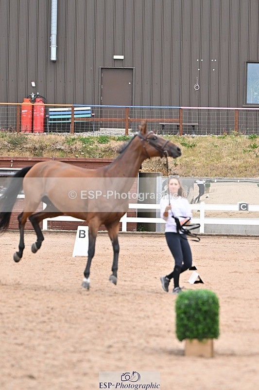 250716-141821-01004 - Trot Up 1.30 to 2.30