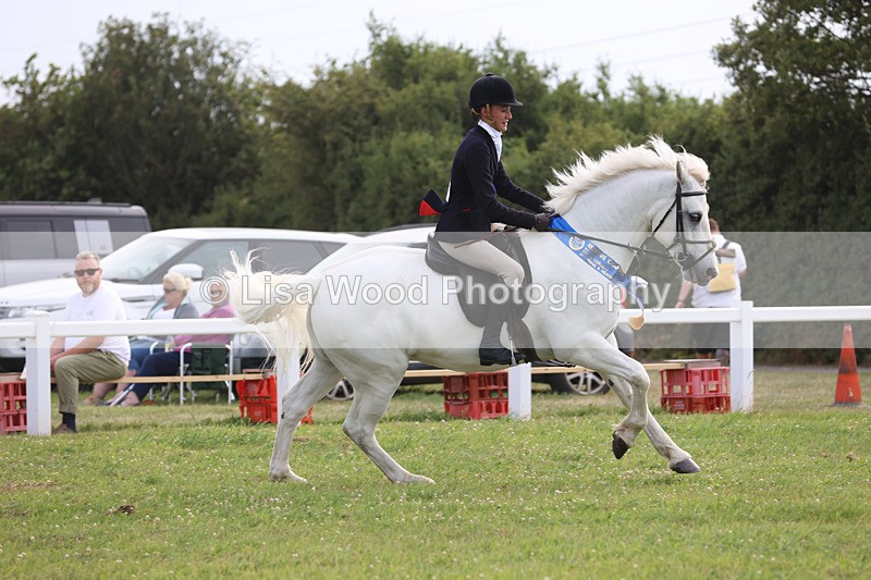 JPP_4826 - Working Hunter Championship