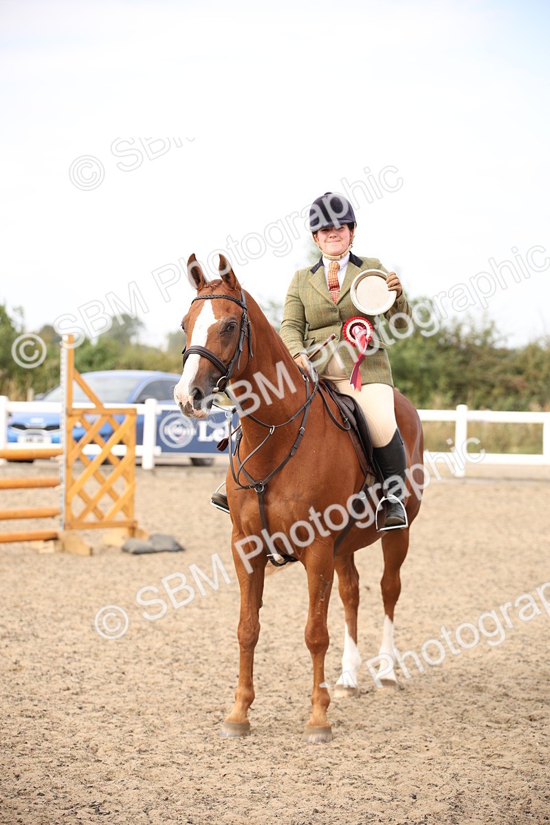 SBM_17324 - Class 410a - Wor5king Veteran 90cm (15-19)