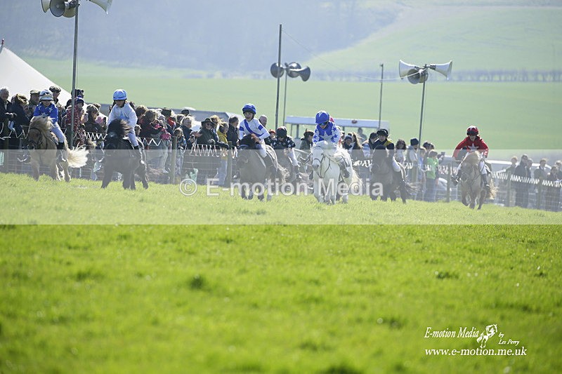 PtP 190322 68 - Wilton Hunt PtP Milborne St Andrew 19/03/22