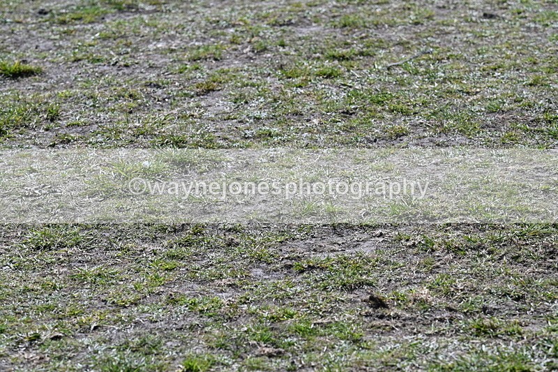 WJ7_0656 - XC Time 12:37 to 12:58