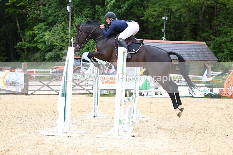 3E7A9573 - Class 9: Senior Foxhunter/1.20 open