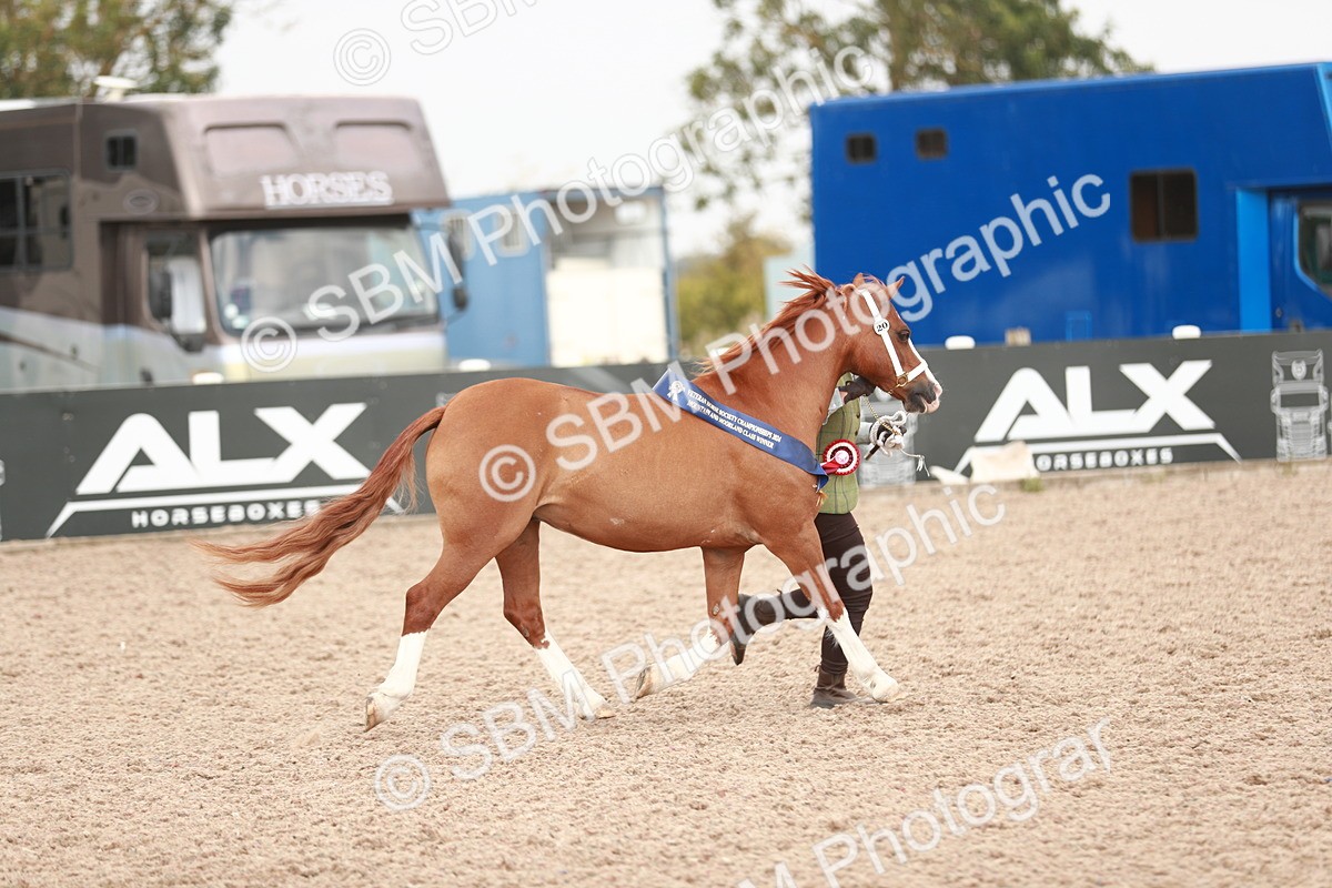 SBM_12570 - Class 207 IH M&M