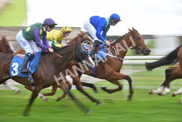 yr24092021r6-14 - Race 6 4.25pm William Hill Pick Your Places Stakes