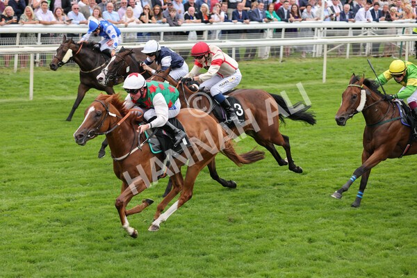 yr18082021r6-15 - Race 6 4.45pm IRE-Incentive It Pays To Buy Irish Stakes