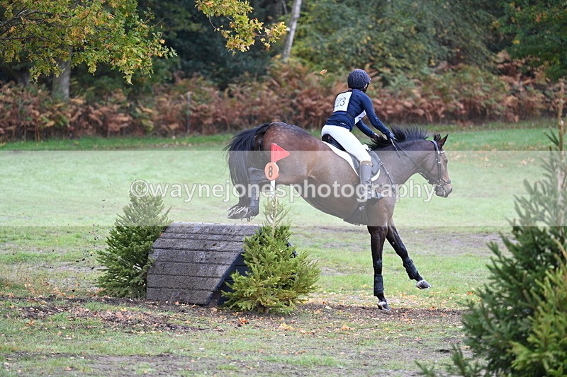 WJ7_4381 - Time 11:49 to 12:11