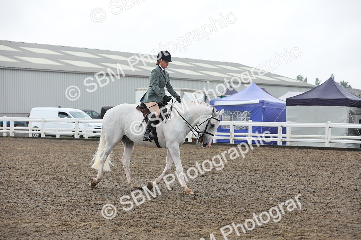 SBM_21266 - Class 805 - Ridden Veteran Horse