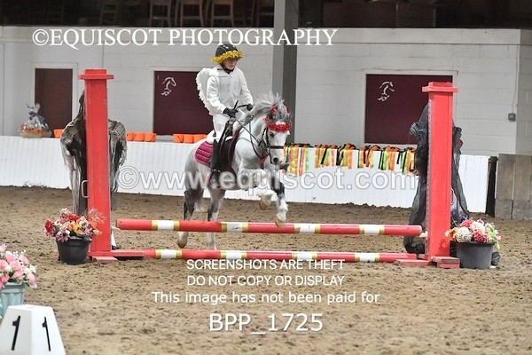 BPP_1725 - CLASS 2 TEAM SJ 40CM