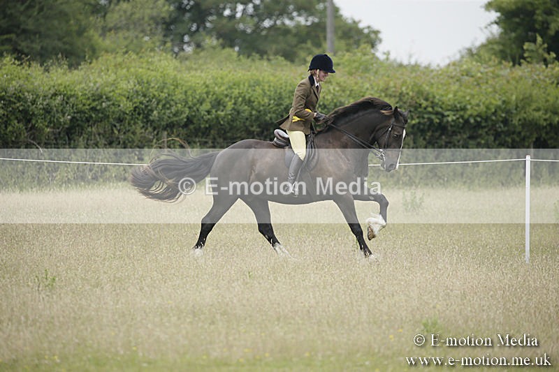 B230619-0548 - Bourne Valley Riding Club Summer Show 23/06/19