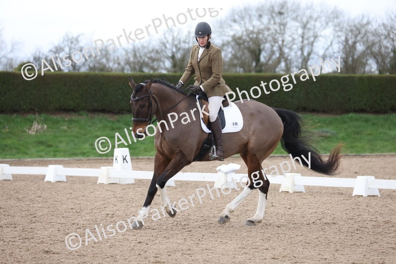 20260301-0331 - Class 3 - Novice 4