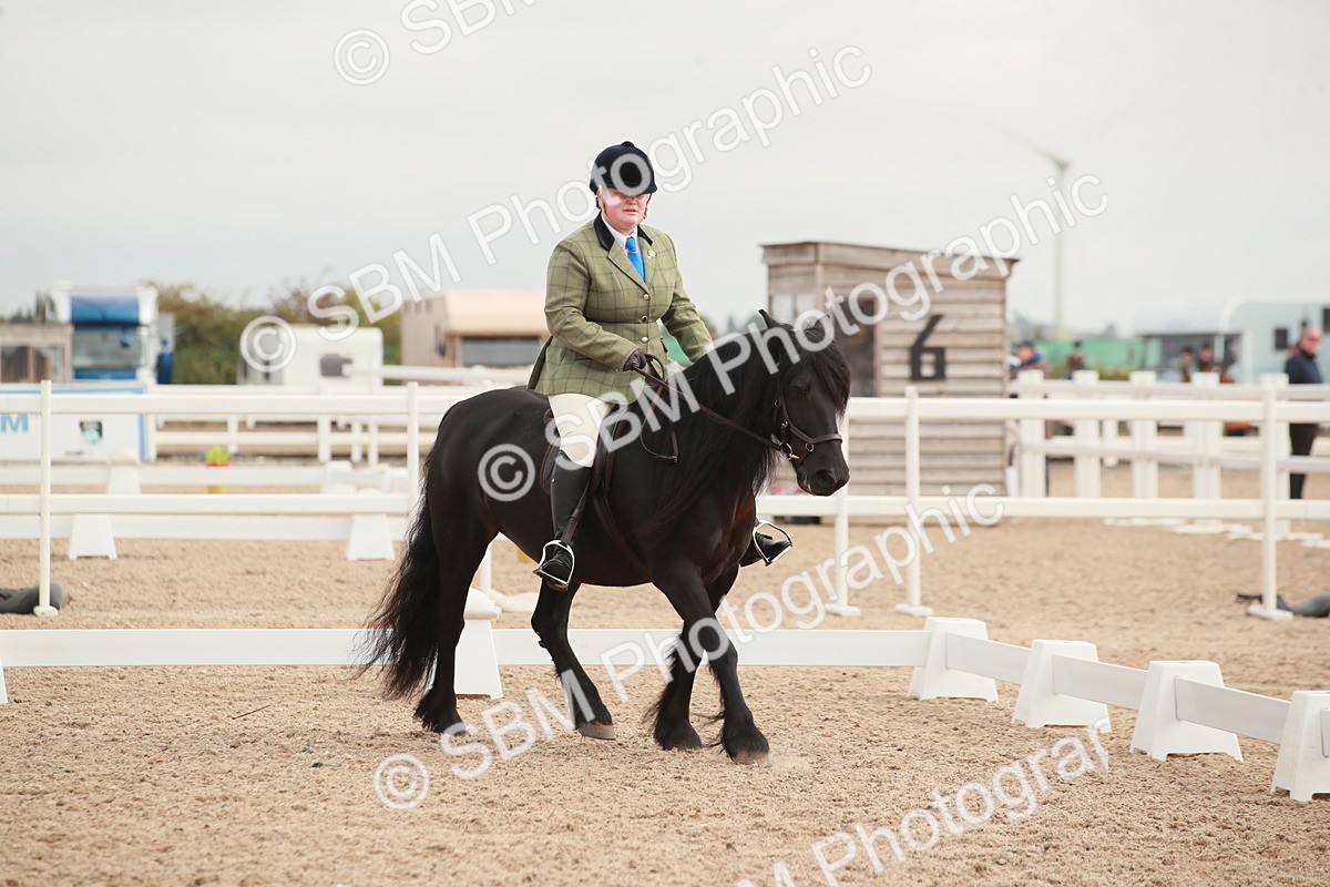 SBM_02555 - Class 30 - Intro 1