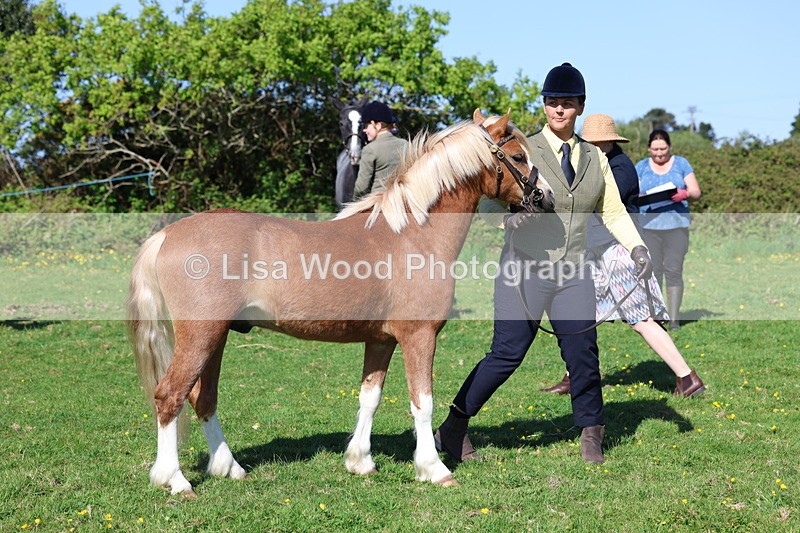 3E7A9080 - Class 15: Two/Three Year olds