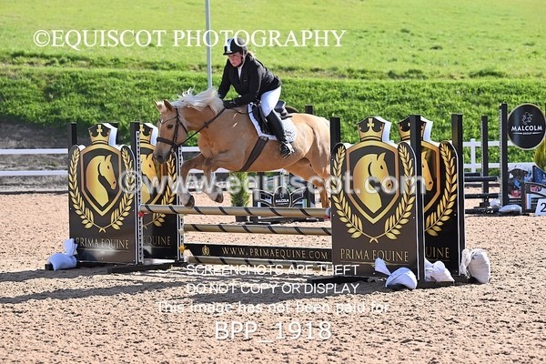 BPP_1918 - CLASS 2 - FRI - KBIS Club Senior 80cms