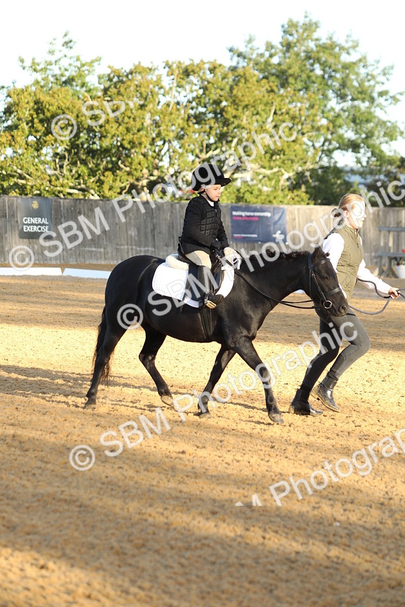 SBM_33562 - D26 - Starers - Lead Rein
