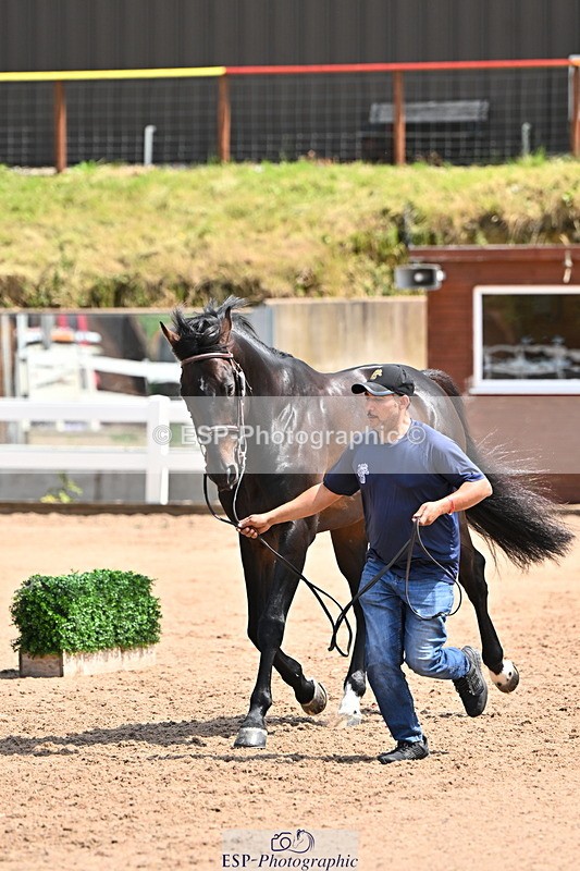 240718A-105301-01447 - Trot Up 12pm to 1pm