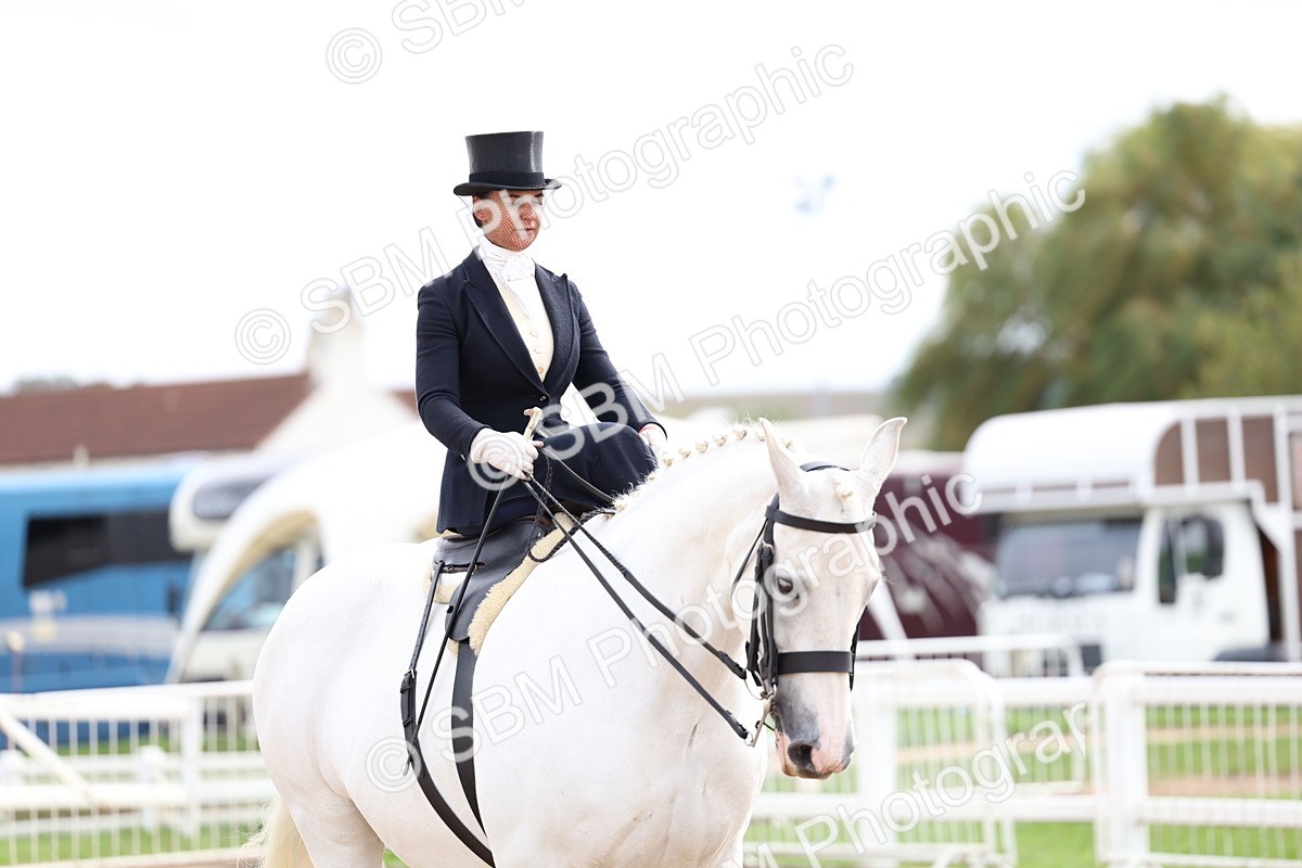 SBM_03436 - Class 24 - SSA Concours d'elegance (any age)