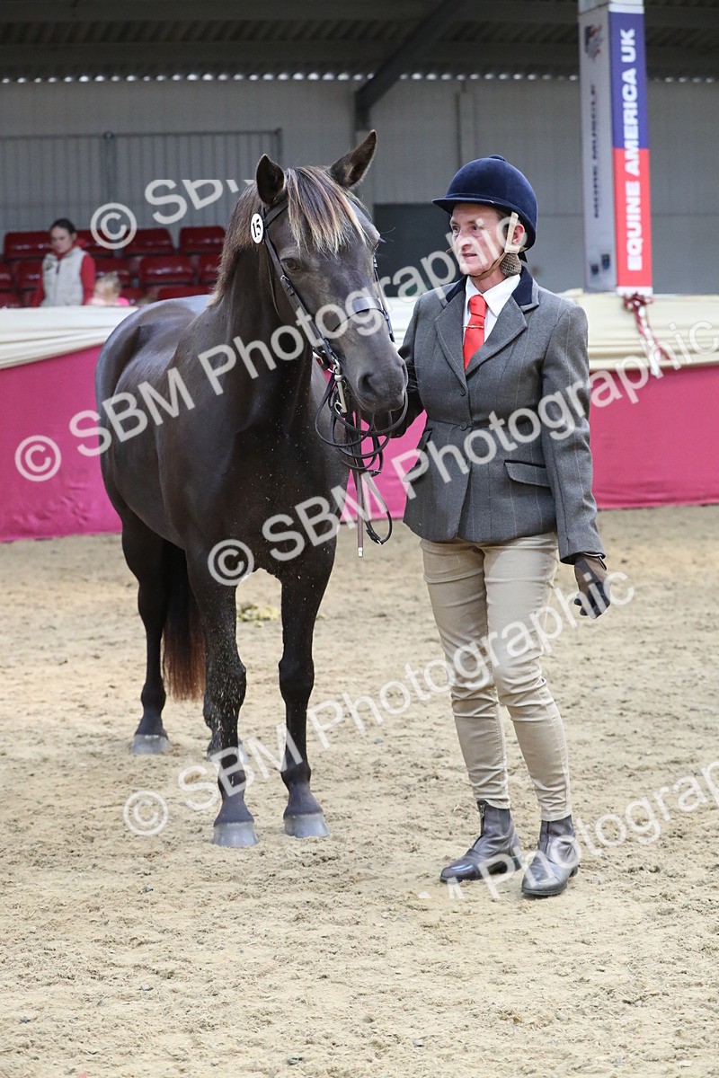 SBM_15356 - Class 501 M&M IH Supreme Final