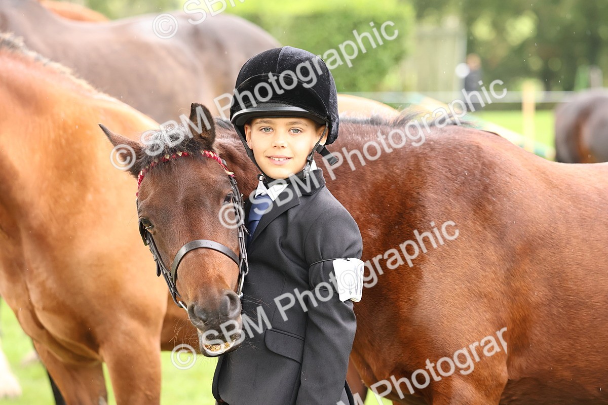 SBM_39340 - S24 - Young Veteran In Hand