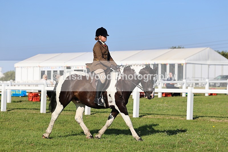 IMG_1367 - Class 28: Ridden Plaited Coloured Pony