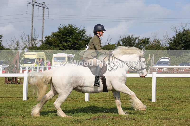 1X9A3390 - Class 28: Ridden Native/Trad Coloured Pony