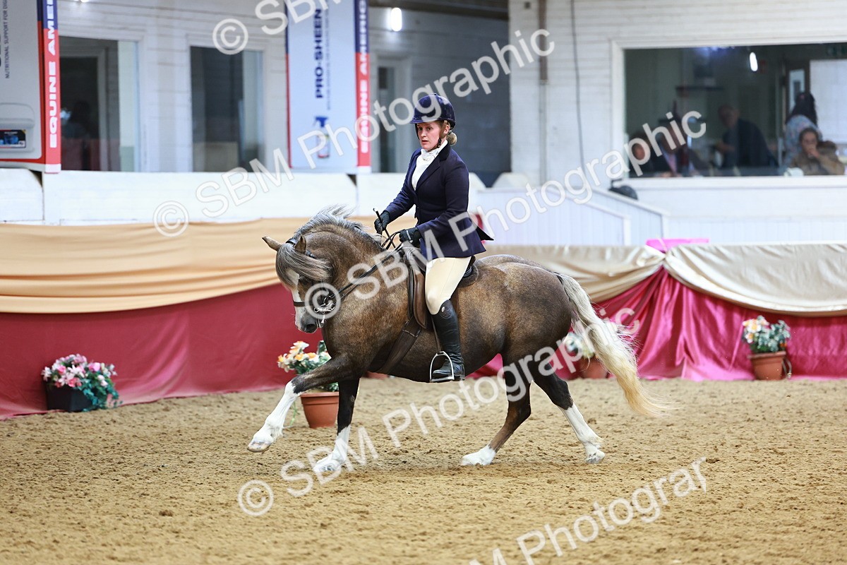 SBM_23772 - Class 905 - Supreme Final - Ridden Veteran