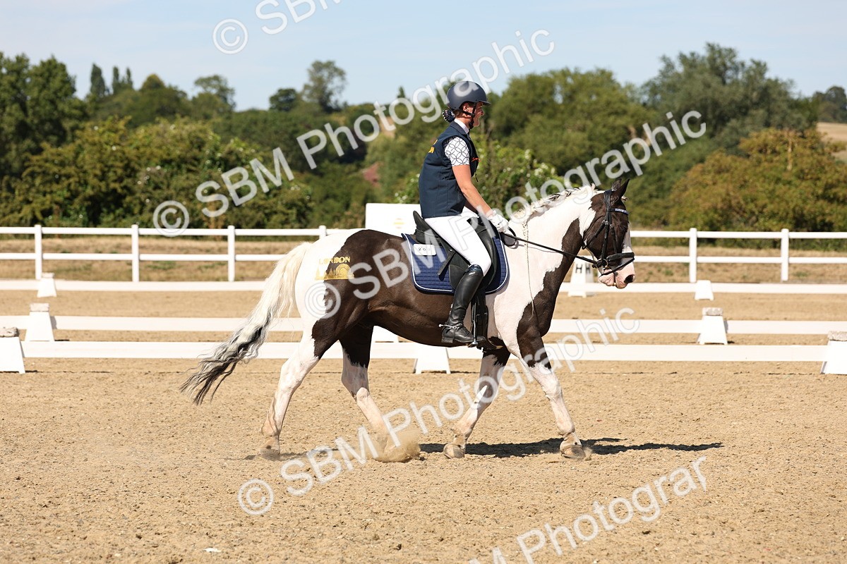 SBM_003686 - Elementary 4