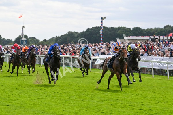 210824-Race 2-The Lion In Winter-4731 - Race 2 2.25pm Tattersalls Acomb Stakes