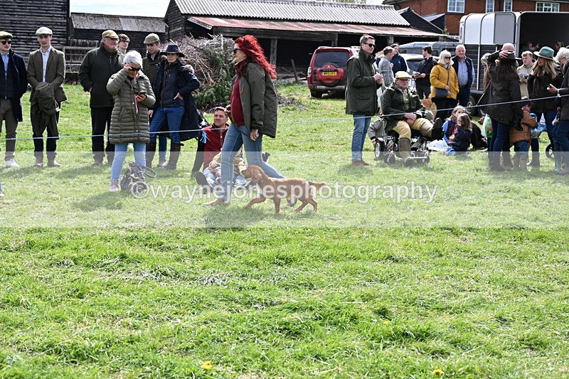 WJ6_8261 - Class 4 Prettiest Bitch