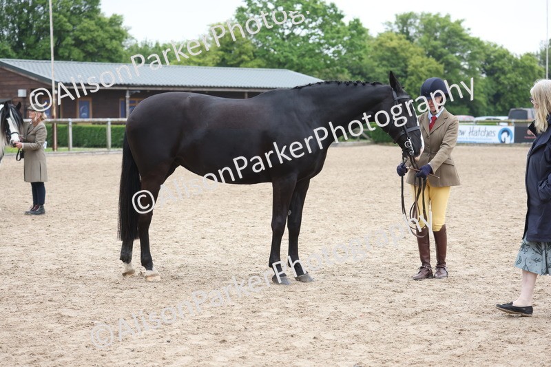 20260504-1382 - Class 8 - Cob and Hunter