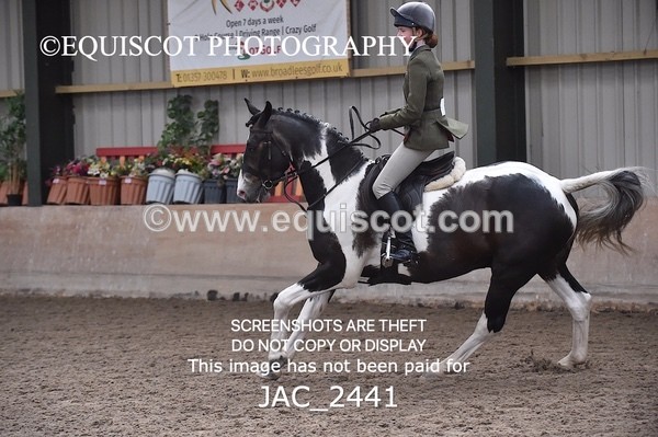 JAC_2441 - CLASS 3 Intermediate Working Hunter