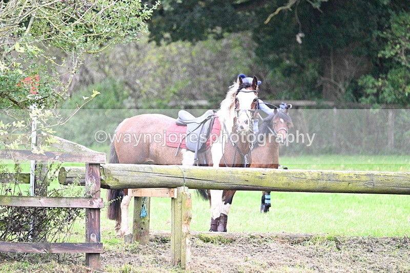 WJ7_1866 - Time at Photographer 13:13 to 13:26