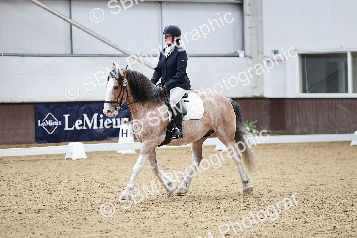 SBM_014221 - Class 7 - Ele FSM Bronze 12.12.13.08