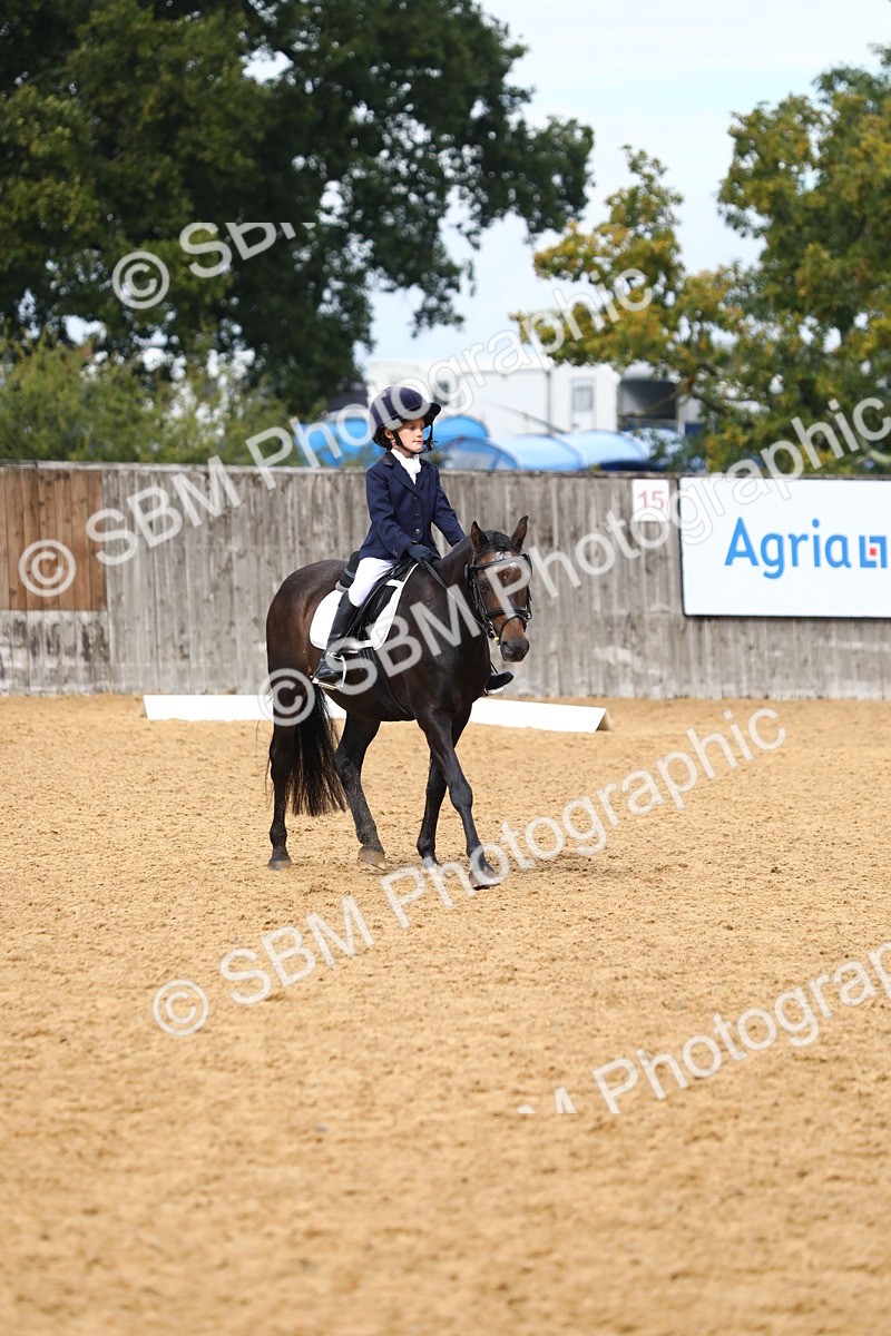 SBM_39080 - D21 - Junior Championship Intro 1