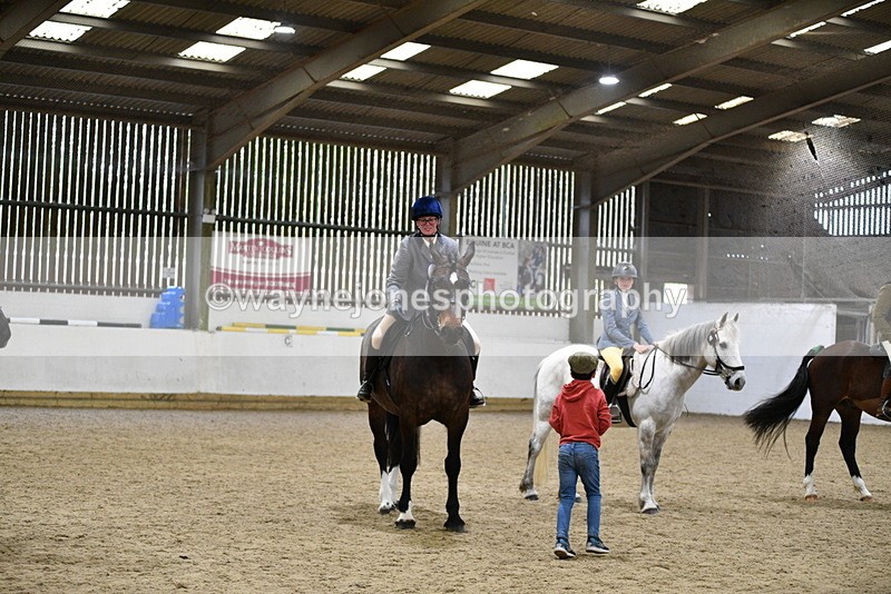 WJ5_8091 - Class 13 Ridden Part Breed