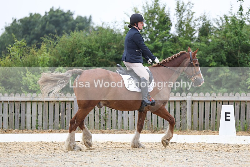 3E7A7985 - Class 1: Intro 3 2024 section A