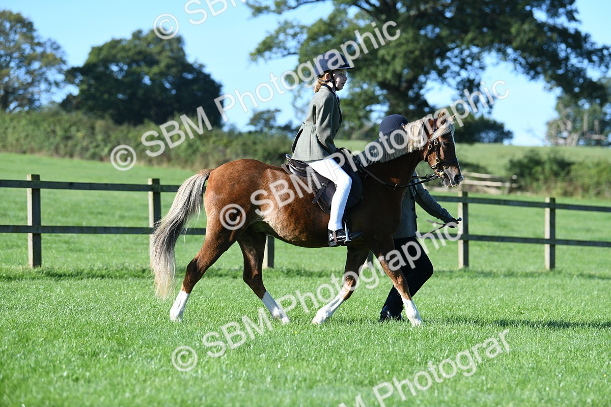 SBM_35360 - S17 - Condition & Turnout - Lead Rein