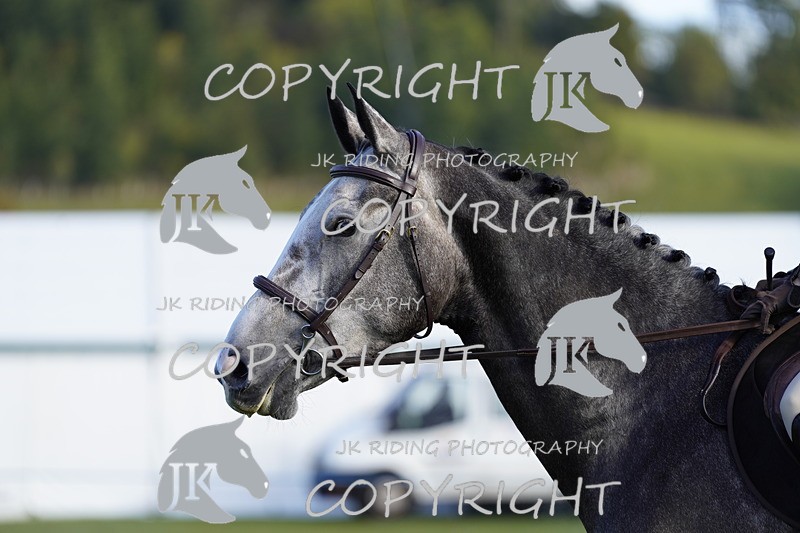 _DSC9393 - Class 8 & 17 Ridden Hunter & Ridden Hunter Pony