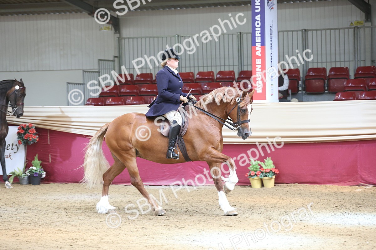 SBM_23739 - class 906 - Supreme Final - Ridden Pre Vet