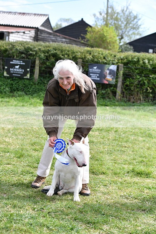WJ5_0636 - Class 7 Best Terrier