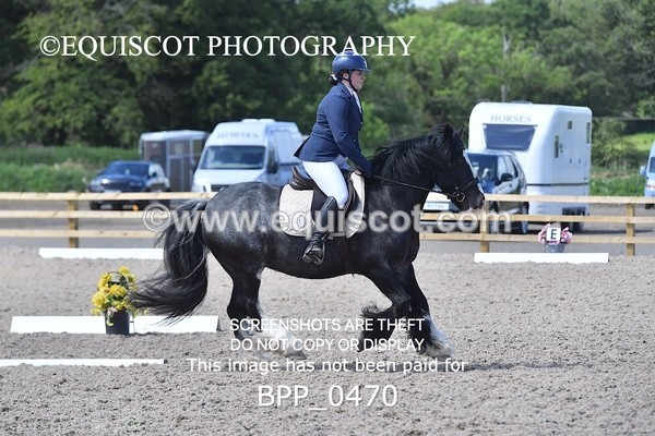 BPP_0470 - MFS NOVICE