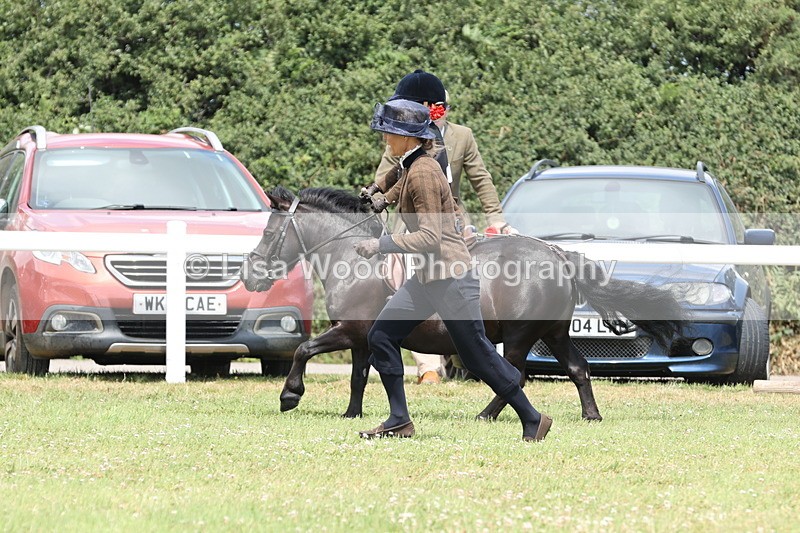 JPP_1896 - Class 18: Tiny Tots Working Hunter Pony