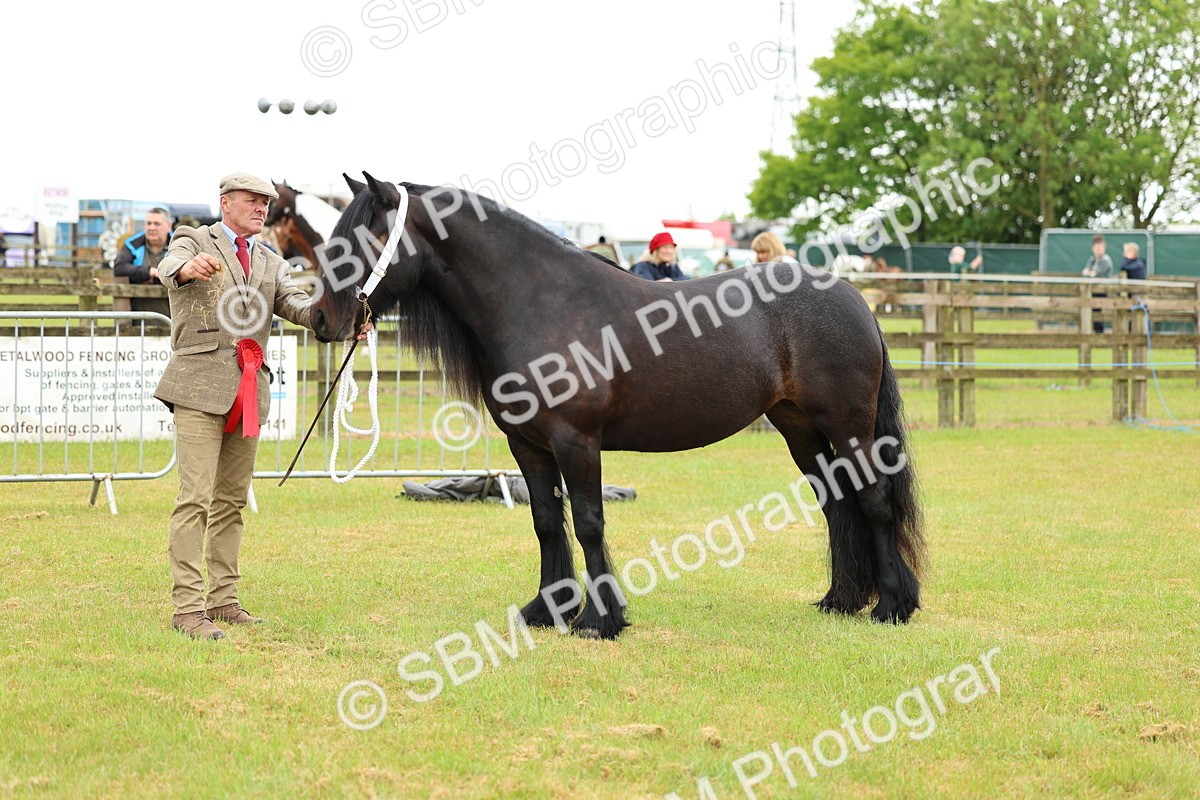 SBM_00569 - Class 58-67 - M&M Non Welsh Pony In hand