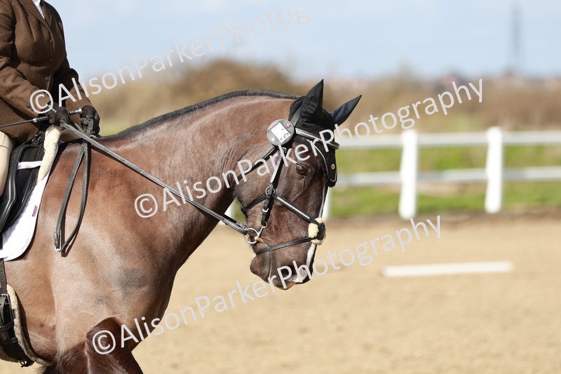 20260314-3037 - DR3 - Prelim 1