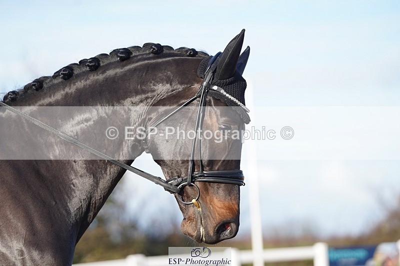 241214-115350-00395 - 159-Tamara.Egglestone-OLINDE