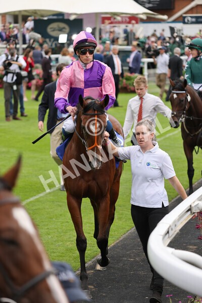 yr19082021r1-8 - Race 1 1.50pm Sky Bet Lowther Stakes
