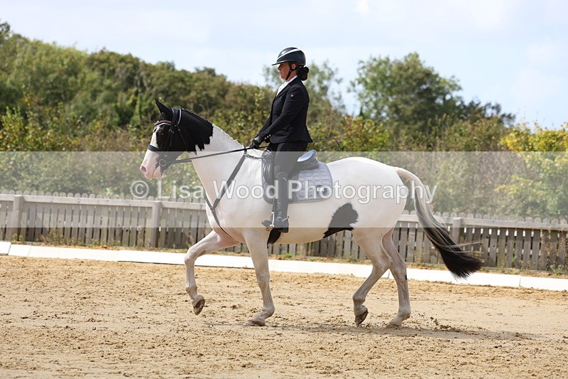 3E7A4076 - Class 9: Novice 6 Section B Championship