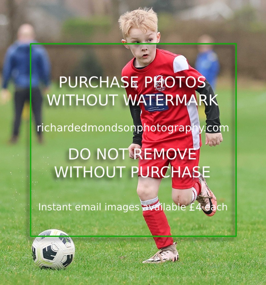 533A0794 - Ibis Under 7's (28/2/26)